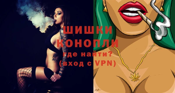 крисы Гвардейск