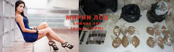 стафф Алзамай