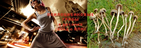 стафф Алзамай