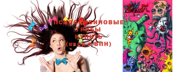 стафф Алзамай